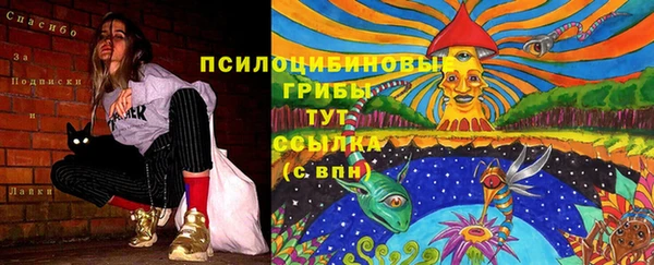 мет Бородино