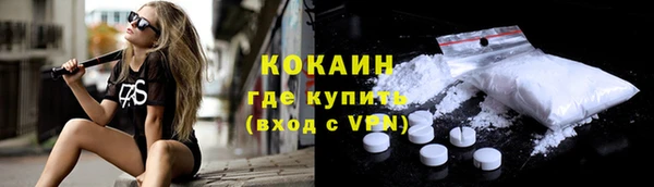 ECSTASY Богородицк