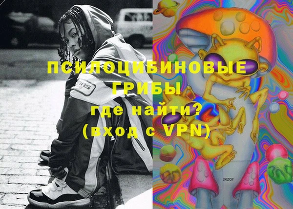 ECSTASY Богородицк