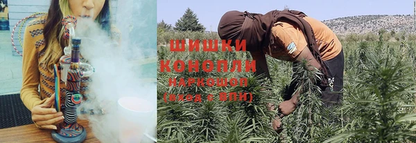 бошки Богданович
