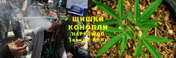 ECSTASY Богородицк