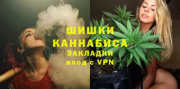 бошки Богданович