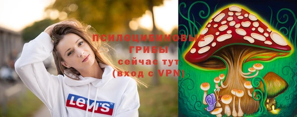 ECSTASY Богородицк