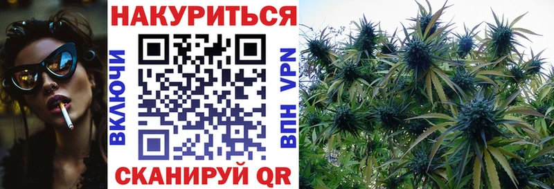Каннабис план  продажа наркотиков  даркнет какой сайт  Михайловка 
